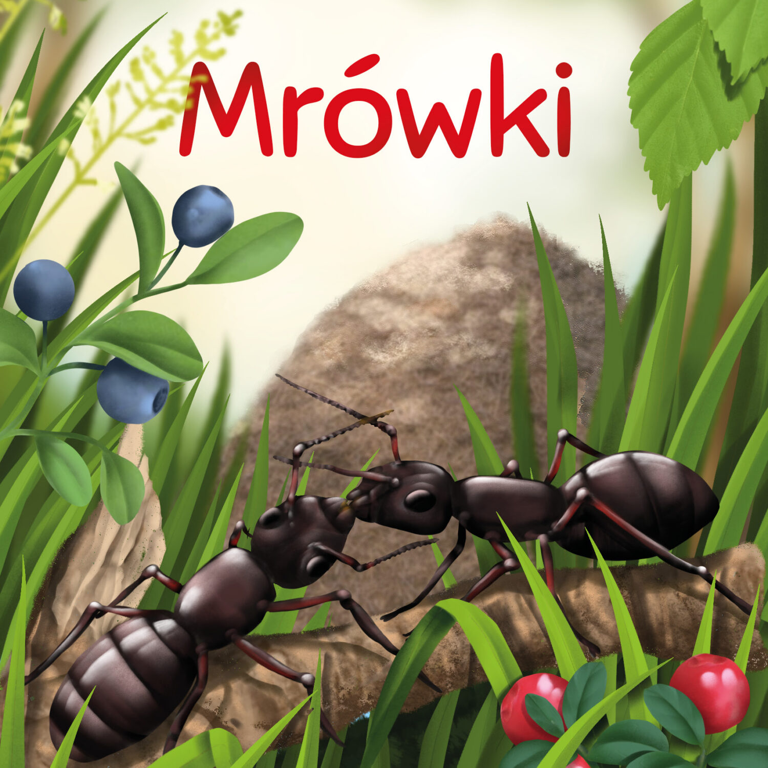 Mrówki. Młodzi przyrodnicy